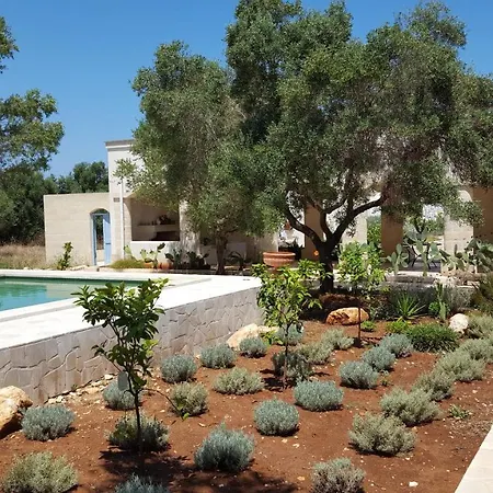 The Proud Garden *